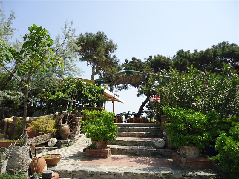 ÃƒÂƒÃ‚ÂƒÃƒÂ‚Ã‚Â‡amlÃƒÂƒÃ‚Â„ÃƒÂ‚Ã‚Â± kahve.jpg