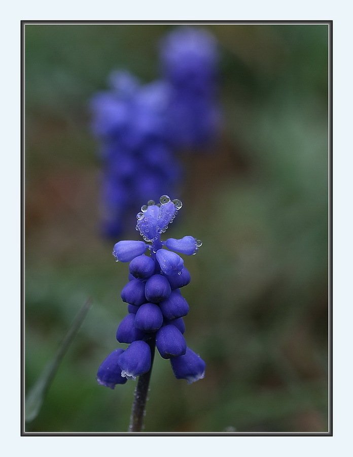 ÃƒÂƒÃ‚ÂƒÃƒÂ‚Ã‚Â§arÃƒÂƒÃ‚Â…ÃƒÂ‚Ã‚ÂŸÃƒÂƒÃ‚Â„ÃƒÂ‚Ã‚Â± 348kg9.jpg