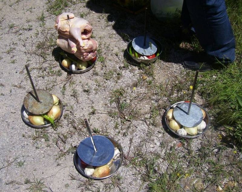 ÃƒÂƒÃ‚ÂƒÃƒÂ‚Ã‚Â‡ingene Tavugu 02.jpg