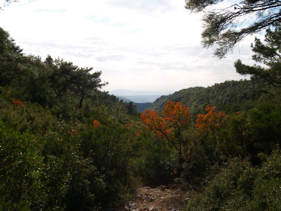 ÃƒÂƒÃ‚ÂƒÃƒÂ‚Ã‚Â–mer'in Objektifinden 024.jpg