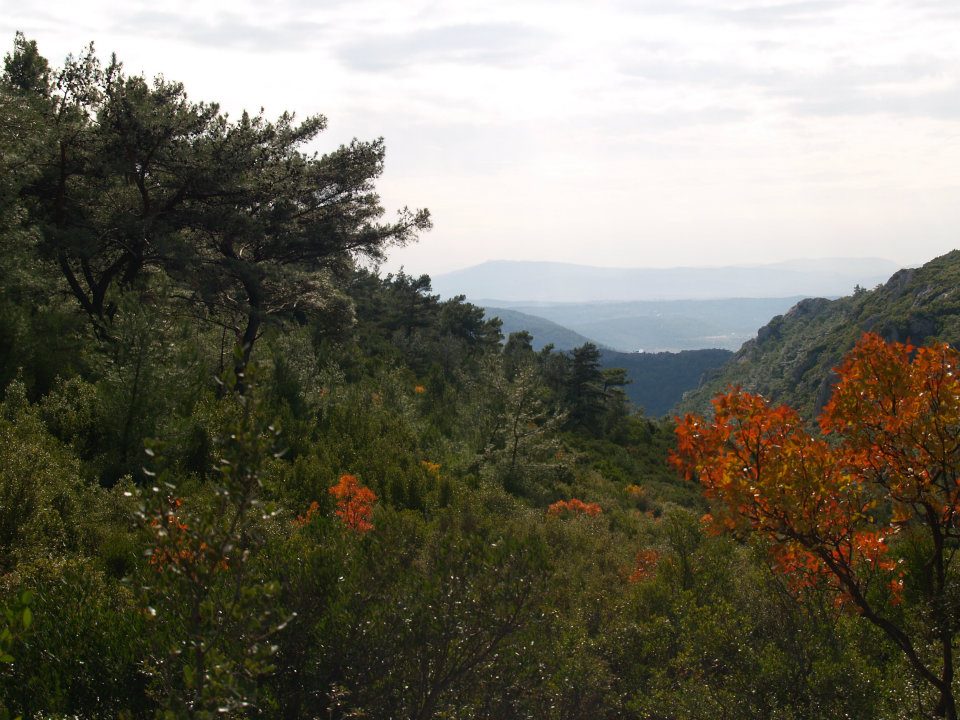 ÃƒÂƒÃ‚ÂƒÃƒÂ‚Ã‚Â–mer'in Objektifinden 025.jpg