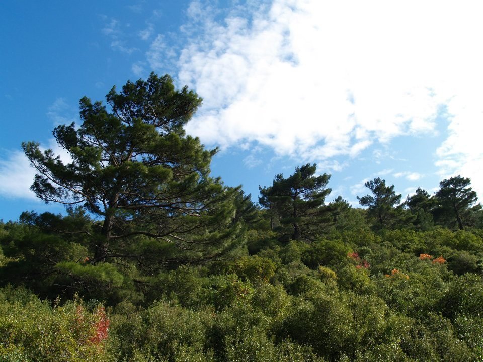 ÃƒÂƒÃ‚ÂƒÃƒÂ‚Ã‚Â–mer'in Objektifinden 027.jpg