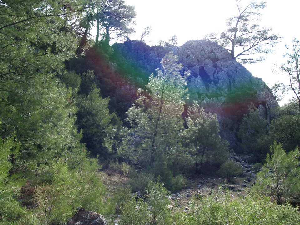 ÃƒÂƒÃ‚ÂƒÃƒÂ‚Ã‚Â–mer'in Objektifinden 035.jpg