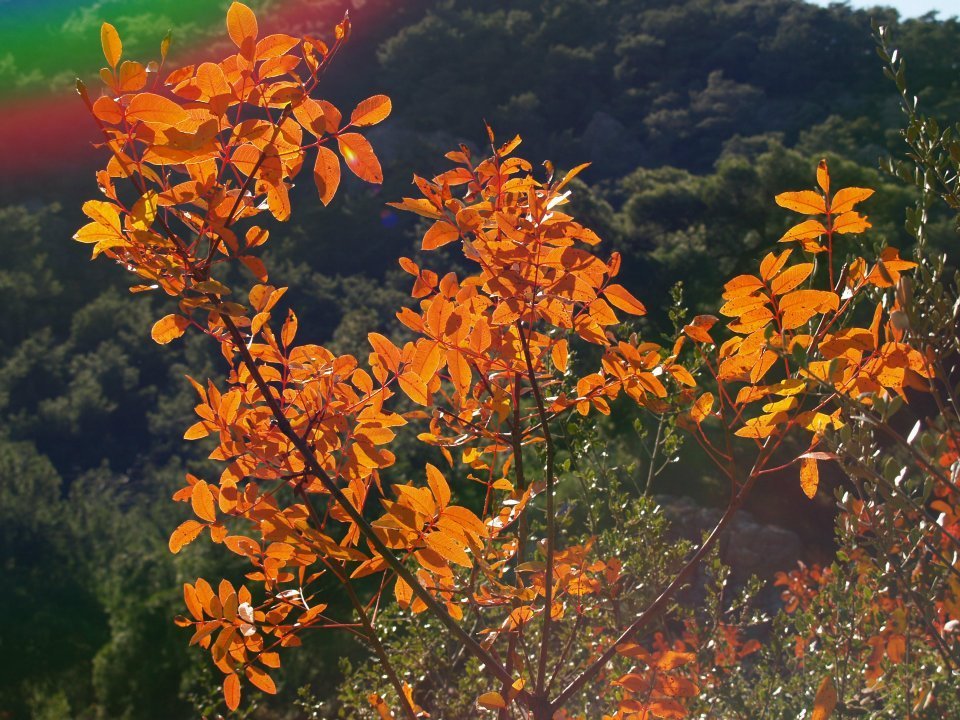 ÃƒÂƒÃ‚ÂƒÃƒÂ‚Ã‚Â–mer'in Objektifinden 040.jpg