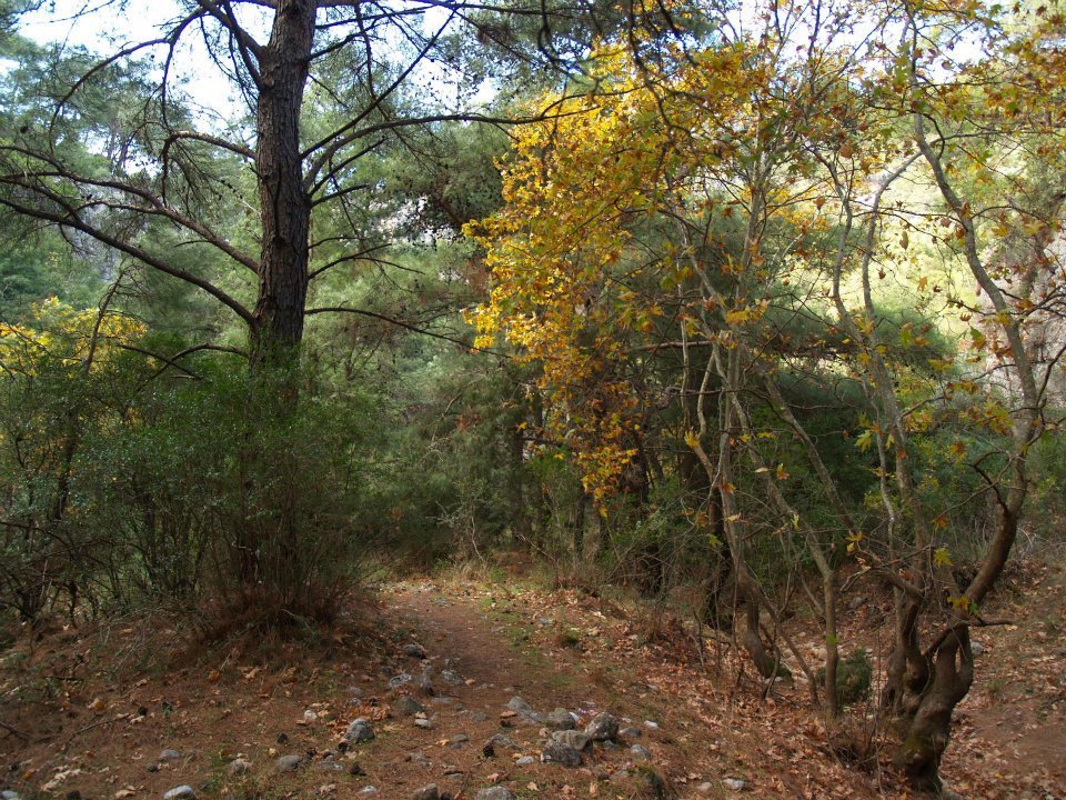 ÃƒÂƒÃ‚ÂƒÃƒÂ‚Ã‚Â–mer'in Objektifinden 047.jpg