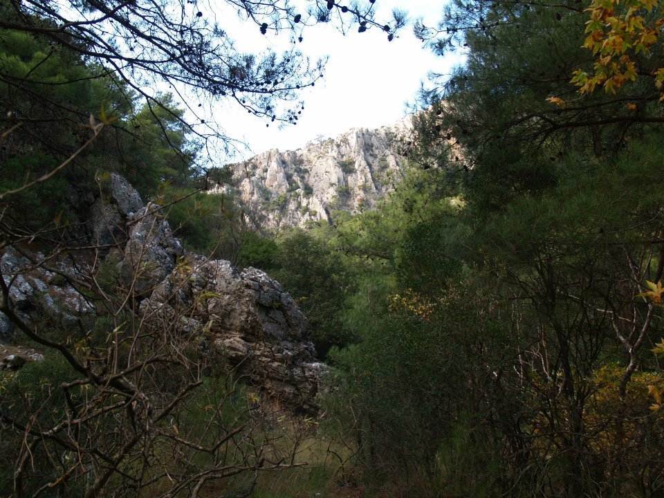 ÃƒÂƒÃ‚ÂƒÃƒÂ‚Ã‚Â–mer'in Objektifinden 048.jpg