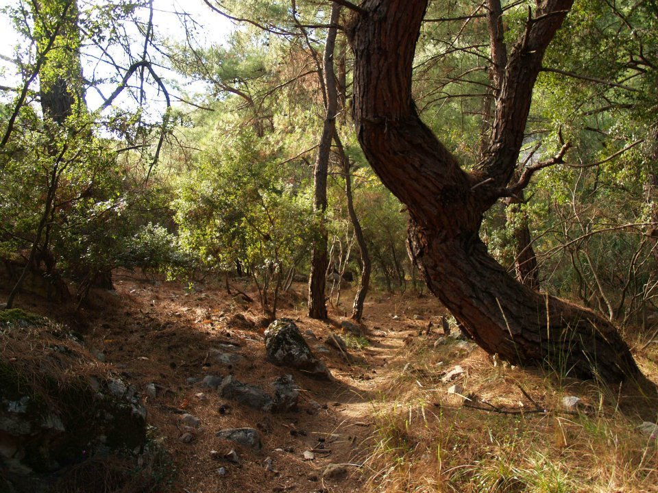 ÃƒÂƒÃ‚ÂƒÃƒÂ‚Ã‚Â–mer'in Objektifinden 052.jpg