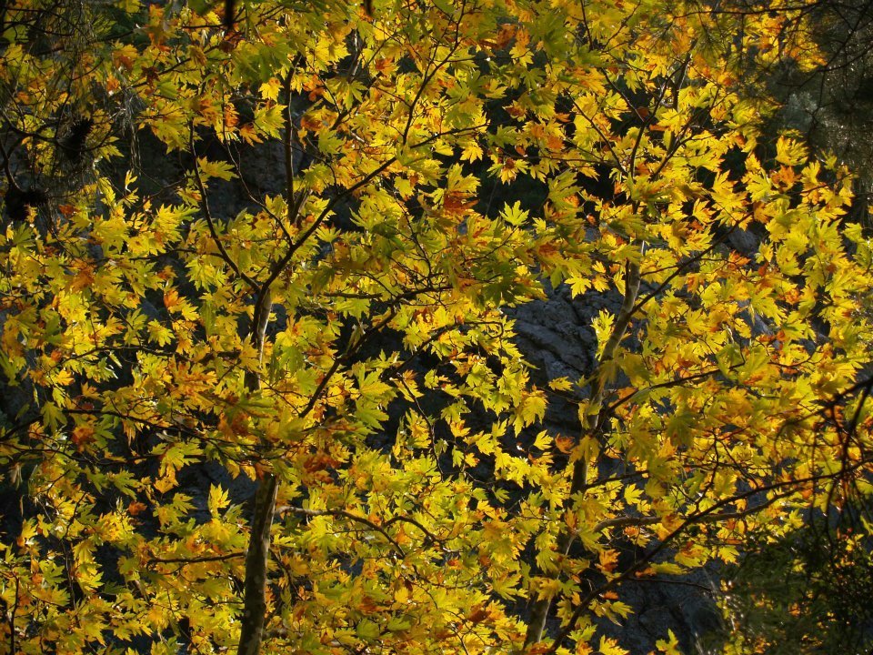 ÃƒÂƒÃ‚ÂƒÃƒÂ‚Ã‚Â–mer'in Objektifinden 053.jpg