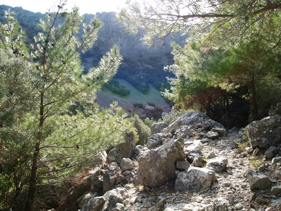 ÃƒÂƒÃ‚ÂƒÃƒÂ‚Ã‚Â–mer'in Objektifinden 054.jpg