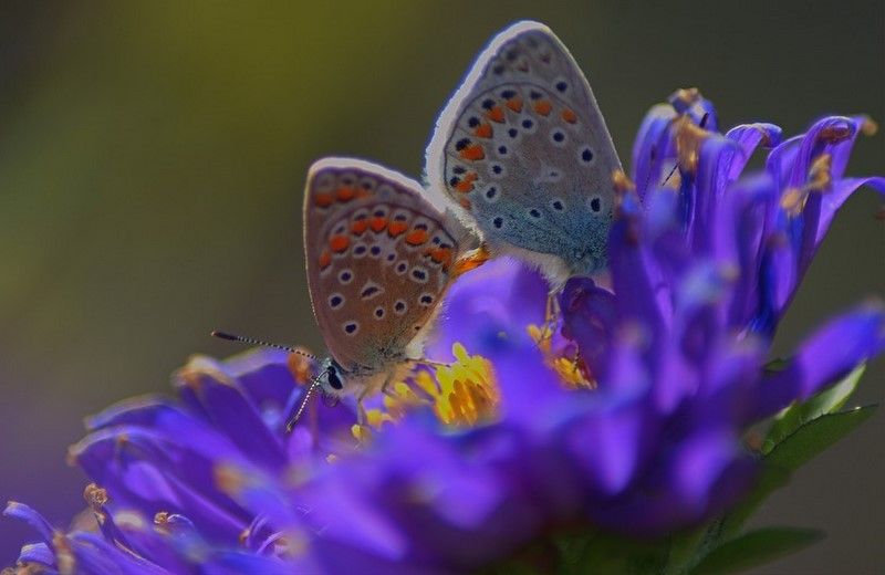 ÃƒÂƒÃ‚ÂƒÃƒÂ‚Ã‚Â‡okgÃƒÂƒÃ‚ÂƒÃƒÂ‚Ã‚Â¶zlÃƒÂƒÃ‚ÂƒÃƒÂ‚Ã‚Â¼  mavi.jpg