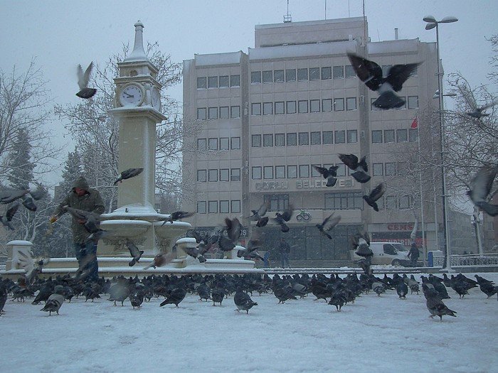 ÃƒÂƒÃ‚ÂƒÃƒÂ‚Ã‚Â‡orlu'da KÃƒÂƒÃ‚Â„ÃƒÂ‚Ã‚Â±ÃƒÂƒÃ‚Â…ÃƒÂ‚Ã‚ÂŸ.jpg