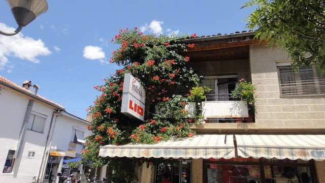 ÃƒÂƒÃ‚ÂƒÃƒÂ‚Ã‚ÂœSKÃƒÂƒÃ‚ÂƒÃƒÂ‚Ã‚ÂœP 129.JPG