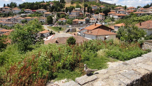 ÃƒÂƒÃ‚ÂƒÃƒÂ‚Ã‚ÂœSKÃƒÂƒÃ‚ÂƒÃƒÂ‚Ã‚ÂœP 169.jpg