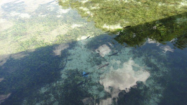 ÃƒÂƒÃ‚ÂƒÃƒÂ‚Ã‚ÂœSKÃƒÂƒÃ‚ÂƒÃƒÂ‚Ã‚ÂœP 276.jpg