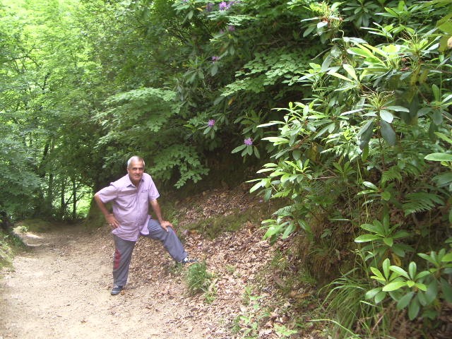 AKÃƒÂƒÃ‚ÂƒÃƒÂ‚Ã‚Â‡A KOCA 017.JPG