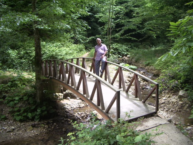 AKÃƒÂƒÃ‚ÂƒÃƒÂ‚Ã‚Â‡A KOCA 020.JPG