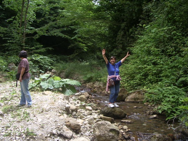 AKÃƒÂƒÃ‚ÂƒÃƒÂ‚Ã‚Â‡A KOCA 021.JPG