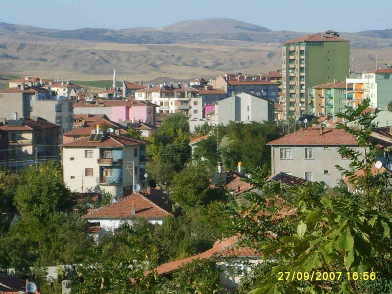 Alaca ilÃƒÂƒÃ‚ÂƒÃƒÂ‚Ã‚Â§esi 03.jpg