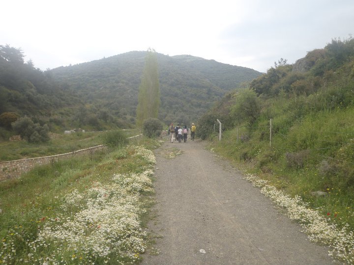 Ali AÃƒÂƒÃ‚Â„ÃƒÂ‚Ã‚ÂŸabeyden 005.jpg