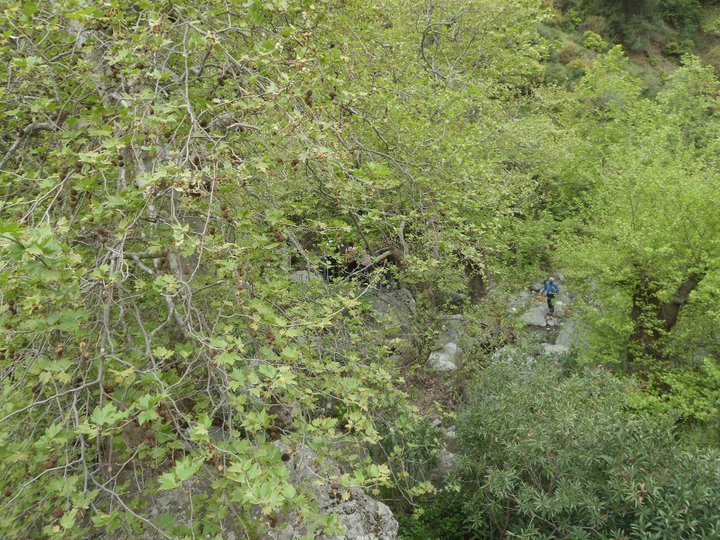 Ali AÃƒÂƒÃ‚Â„ÃƒÂ‚Ã‚ÂŸabeyden 006.jpg