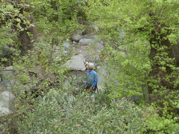 Ali AÃƒÂƒÃ‚Â„ÃƒÂ‚Ã‚ÂŸabeyden 007.jpg