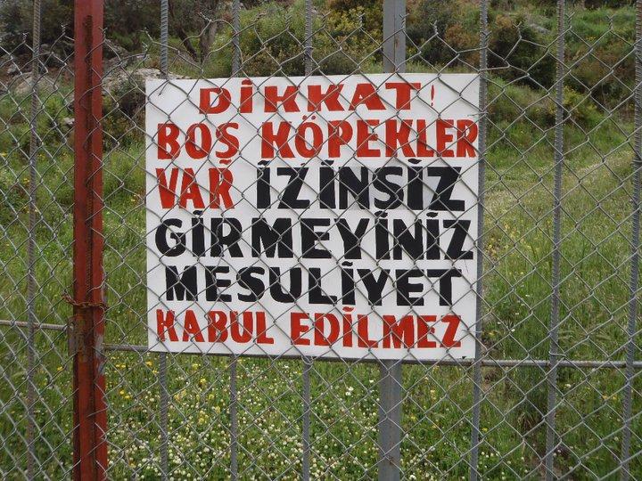 Ali AÃƒÂƒÃ‚Â„ÃƒÂ‚Ã‚ÂŸabeyden 014.JPG