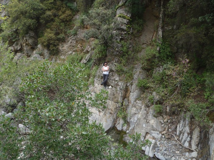 Ali AÃƒÂƒÃ‚Â„ÃƒÂ‚Ã‚ÂŸabeyden 025.jpg