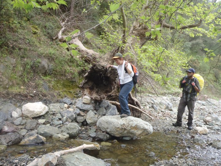 Ali AÃƒÂƒÃ‚Â„ÃƒÂ‚Ã‚ÂŸabeyden 035.jpg