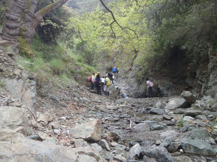 Ali AÃƒÂƒÃ‚Â„ÃƒÂ‚Ã‚ÂŸabeyden 040.jpg