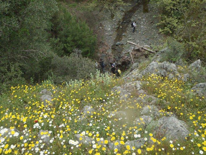 Ali AÃƒÂƒÃ‚Â„ÃƒÂ‚Ã‚ÂŸabeyden 045.JPG