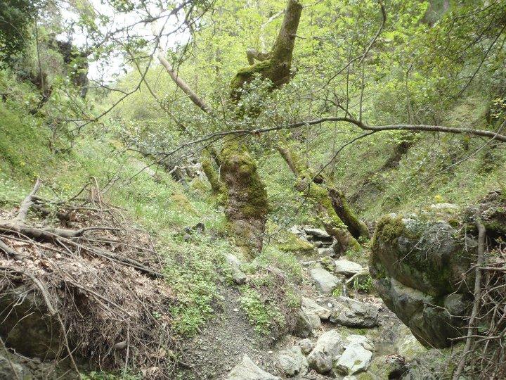 Ali AÃƒÂƒÃ‚Â„ÃƒÂ‚Ã‚ÂŸabeyden 059.JPG