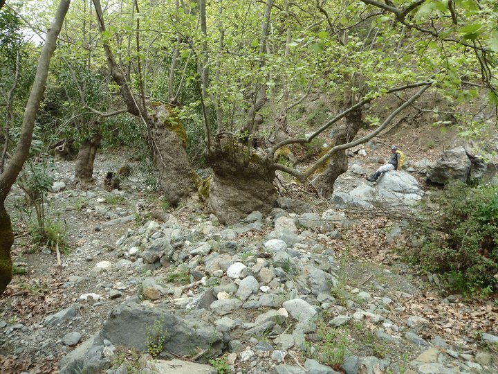 Ali AÃƒÂƒÃ‚Â„ÃƒÂ‚Ã‚ÂŸabeyden 064.jpg