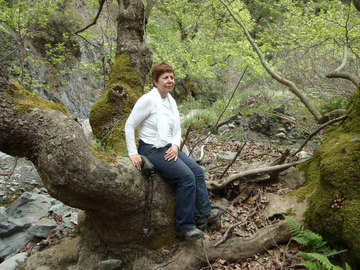 Ali AÃƒÂƒÃ‚Â„ÃƒÂ‚Ã‚ÂŸabeyden 067.jpg