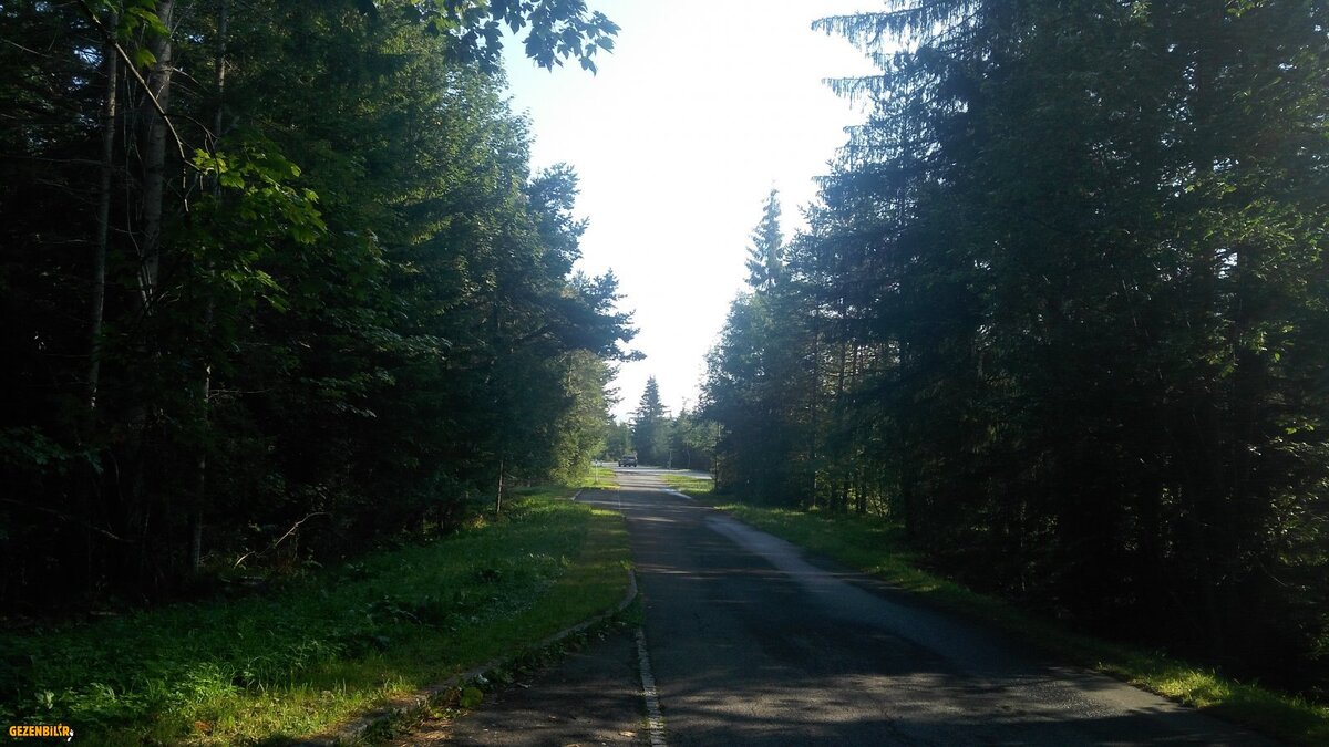 ALMANYA'DAN AYRILIRKEN (1).jpg