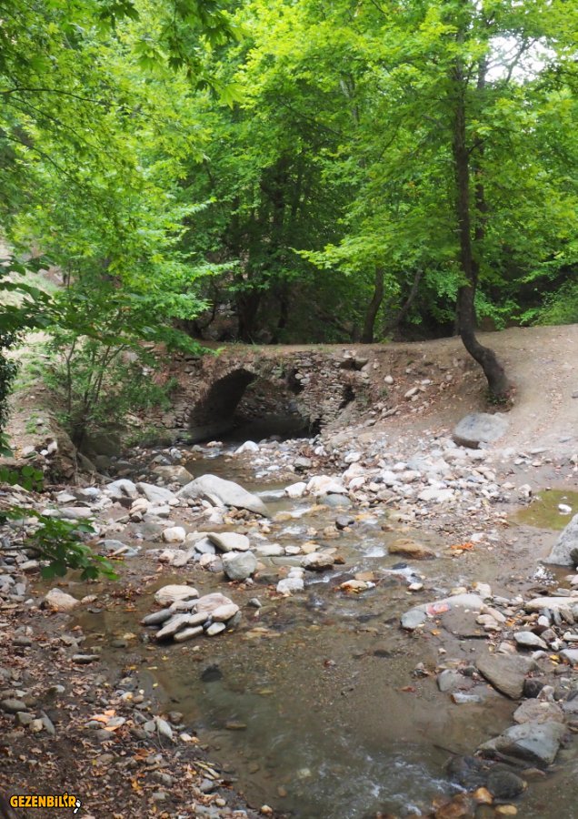 Altindere Vadisi.JPG