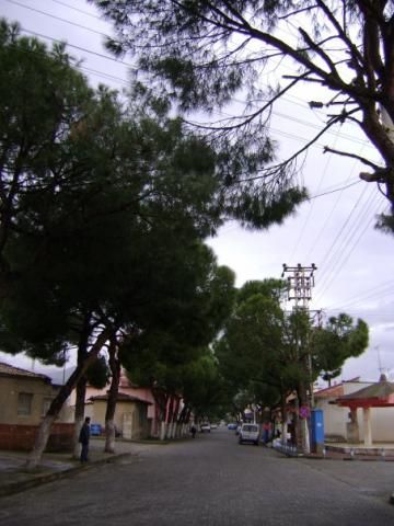 atça atatürk caddesi.jpg