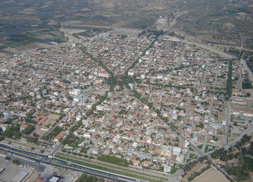 atça ku? bak??? görünü?.jpg