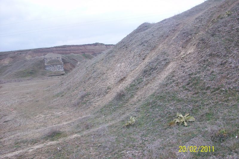 ayaÃƒÂƒÃ‚Â…ÃƒÂ‚Ã‚ÂŸ3.jpg