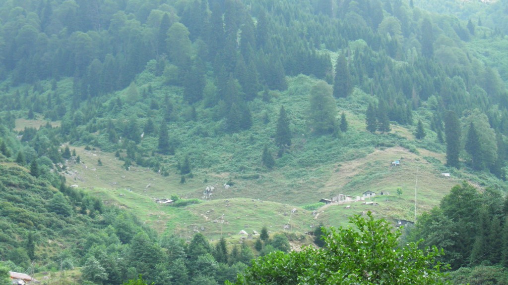 ayder ve huser yaylasÃƒÂƒÃ‚Â„ÃƒÂ‚Ã‚Â± (12).JPG