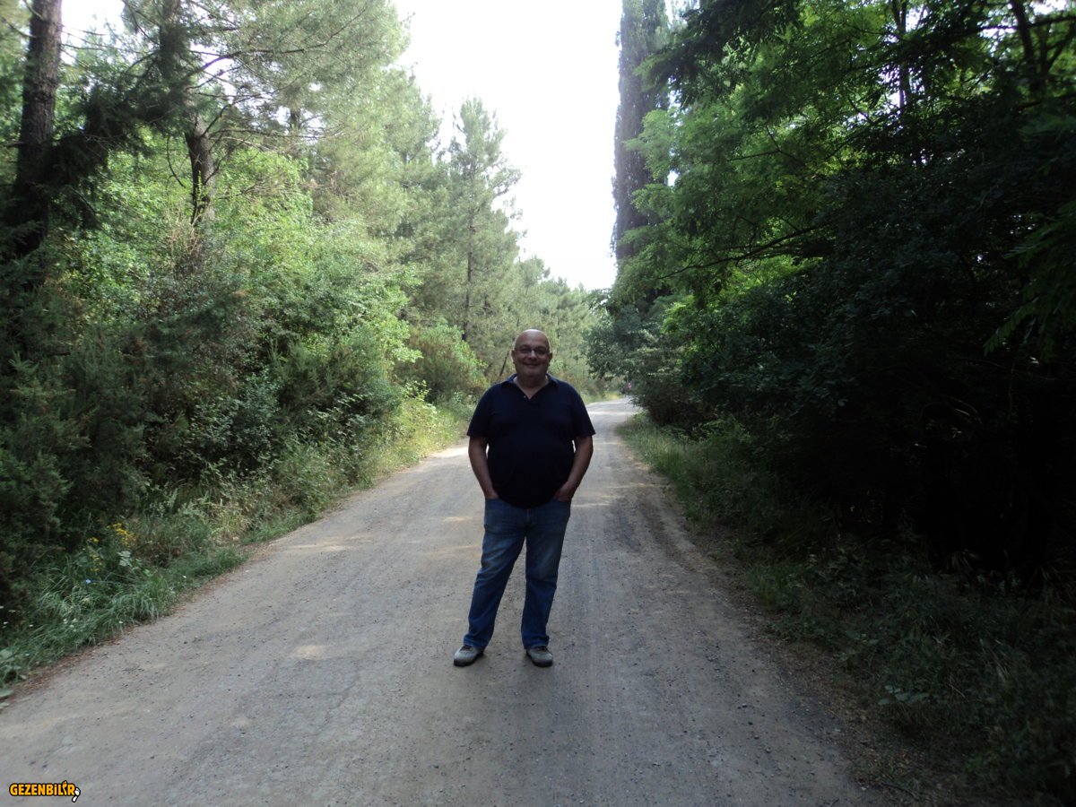 AYDOS ORMANI 16.6.2019 (7).JPG