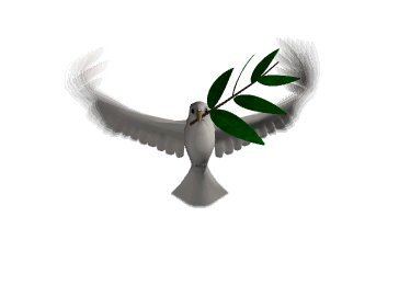 b-263570-zeytin_dal?.jpg