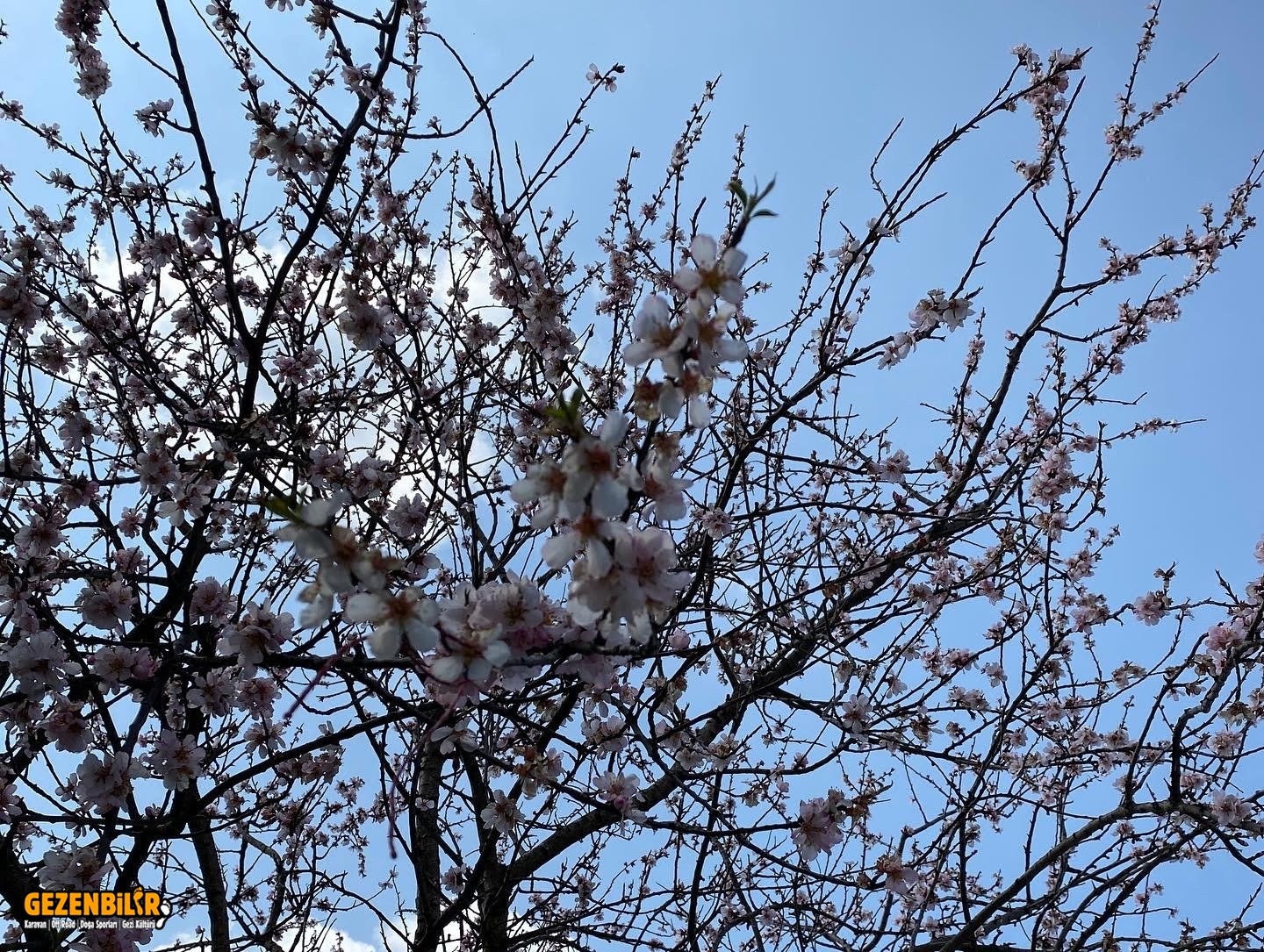 BA3D539A-B75D-41D4-8D9D-D2B2CDDA344E.jpg BA3D539A-B75D-41D4-8D9D-D2B2CDDA344E.jpg