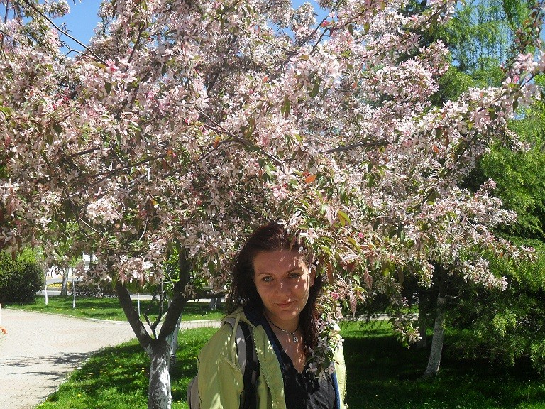 Bahar ÃƒÂƒÃ‚ÂƒÃƒÂ‚Ã‚Â§iÃƒÂƒÃ‚ÂƒÃƒÂ‚Ã‚Â§ekleri.JPG