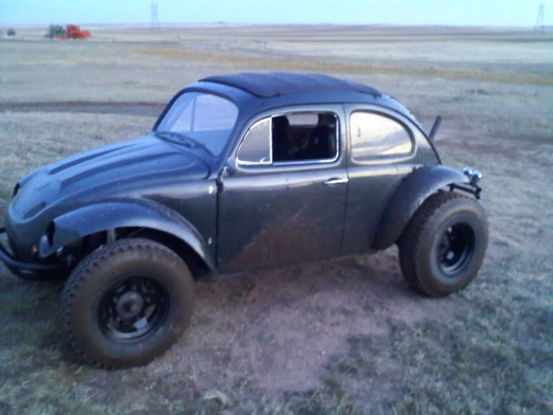 baja_bug03.jpg