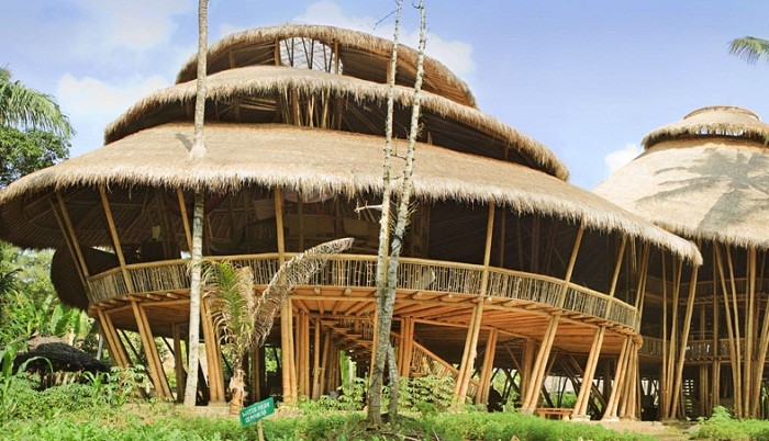 bamboo school.jpg