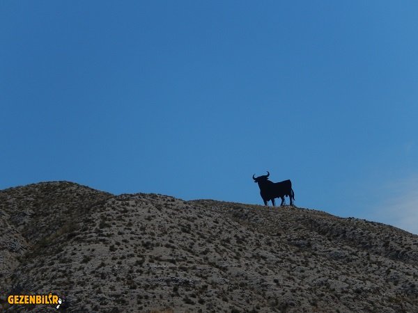 Barca - Madrid yolu 3.jpg