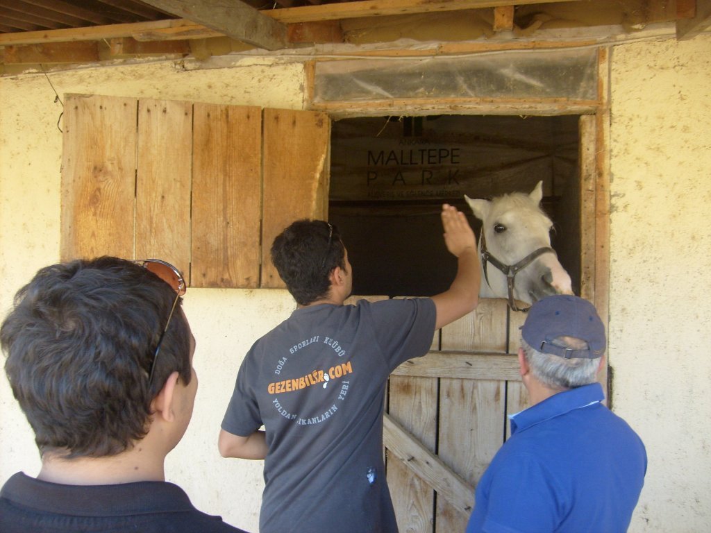 beynam+atÃƒÂƒÃ‚ÂƒÃƒÂ‚Ã‚Â§iftliÃƒÂƒÃ‚Â„ÃƒÂ‚Ã‚ÂŸi ekim2012 076.jpg