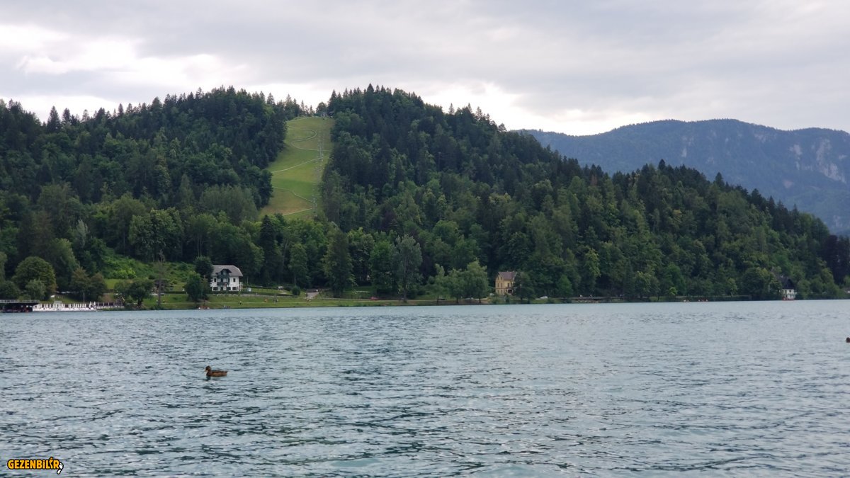 BLED 1 (4).jpg