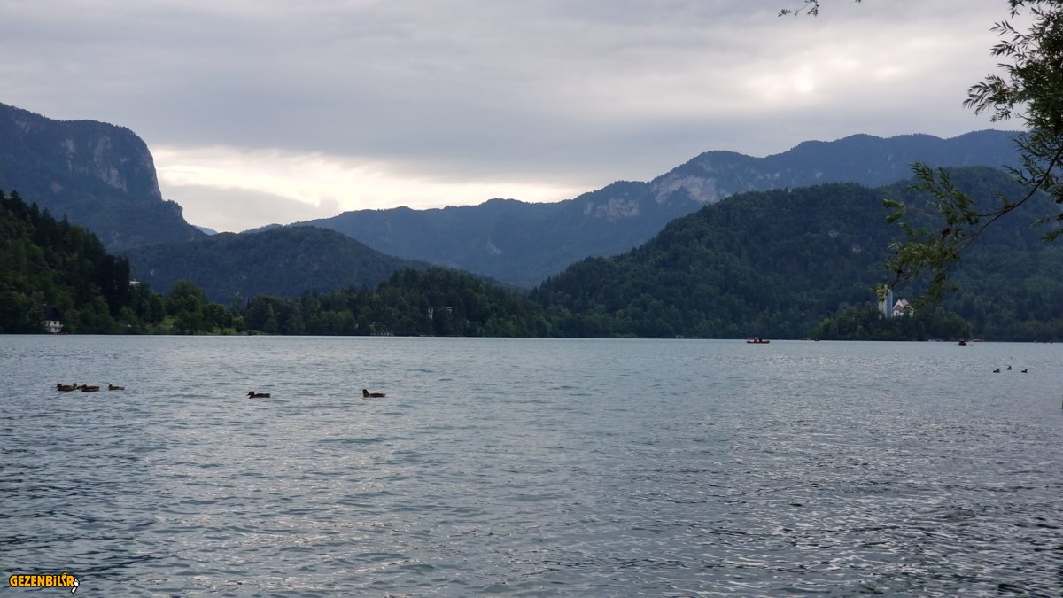 BLED 1 (5).jpg