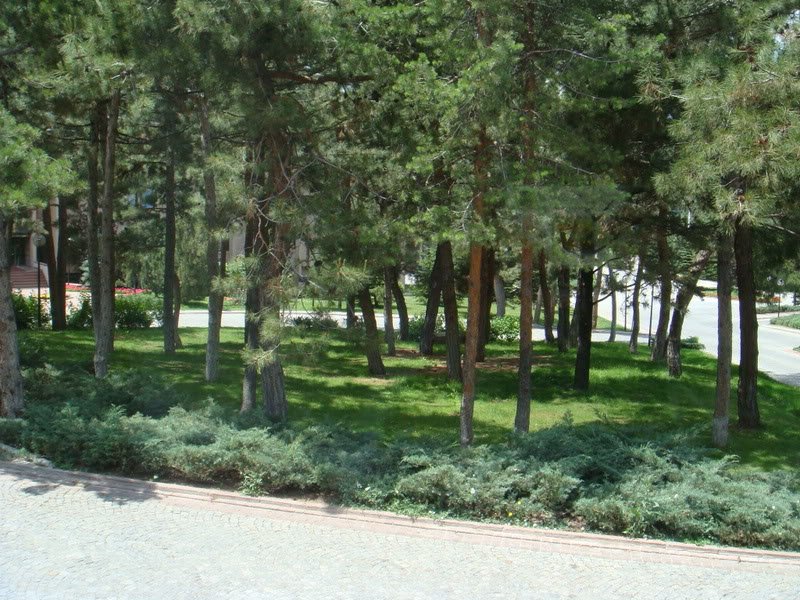 Bolu-Aladalar017.jpg